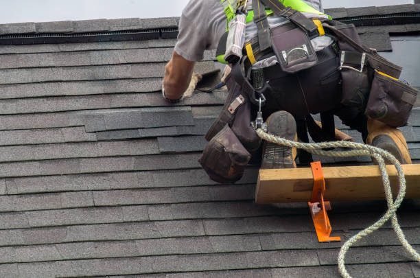 Gutter Installation and Roofing in Johnston City, IL